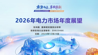 2026年电力市场年度展望-国泰海通期货.pdf
