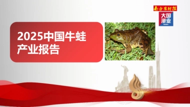 2025年中国牛蛙产业报告-大国渔业.pdf
