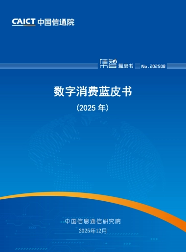 数字消费蓝皮书（2025年）-中国信通院 .pdf