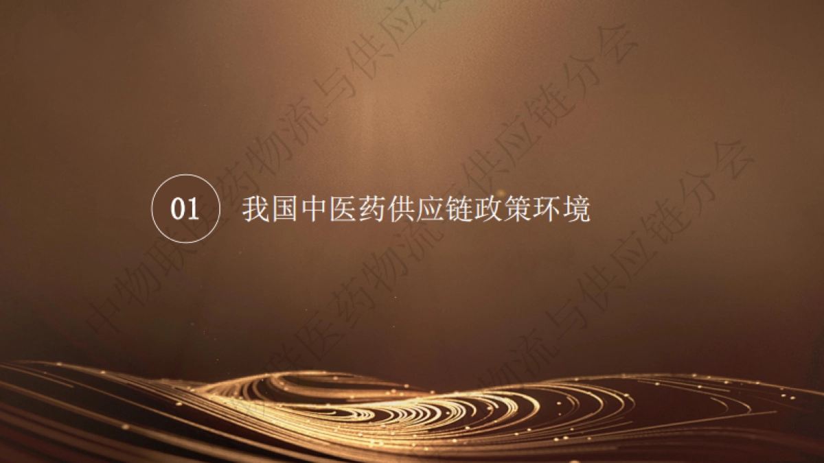 我国中医药供应链发展报告（2025）-中物联医药物流与供应链分会.pdf_第3页