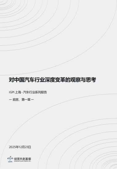 2025年对中国汽车行业深度变革的观察与思考报告-IGPI.pdf