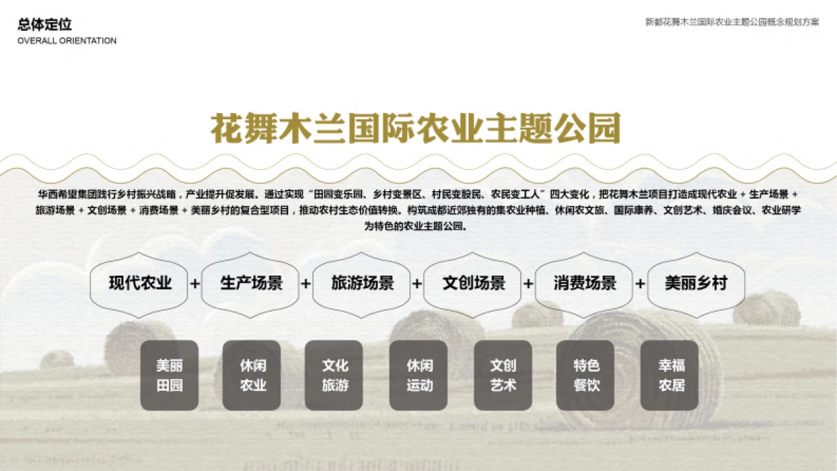 新都花舞木兰国际农业主题公园规划方案.pdf_第9页