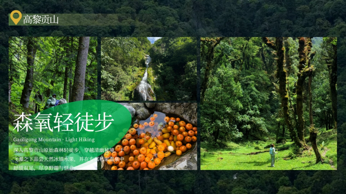 2026行走高黎贡-昆明腾冲6天5晚疗愈之旅活动规划案.pptx_第6页