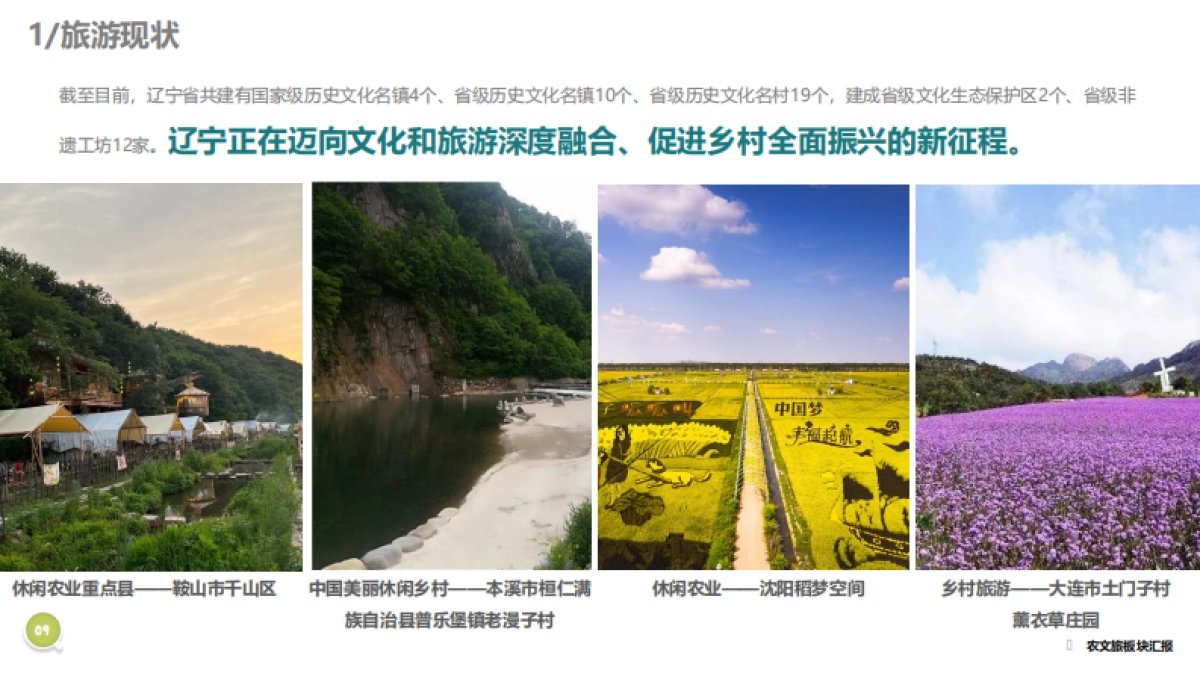 辽宁农文旅“学会讲故事 文化创意赋能产业“农业休闲游专题研究策划案.pdf_第9页