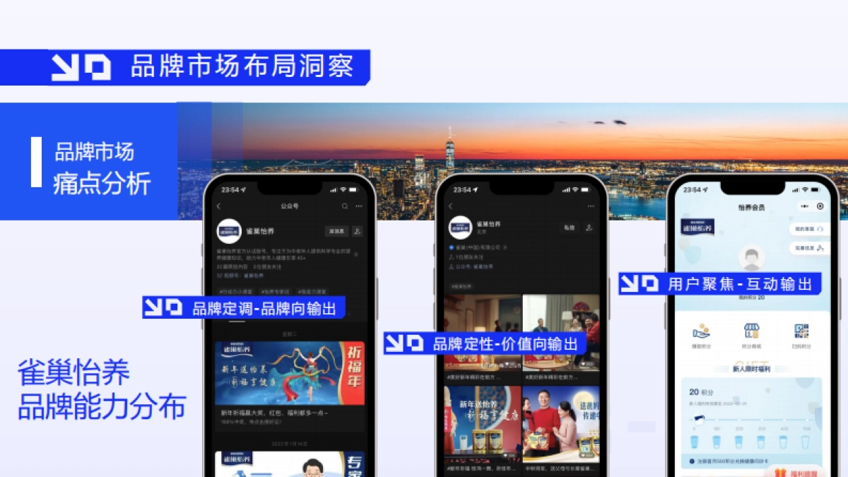 雀巢怡养SCRM精细化运营构建规划方案及用户运营规划.pdf_第9页
