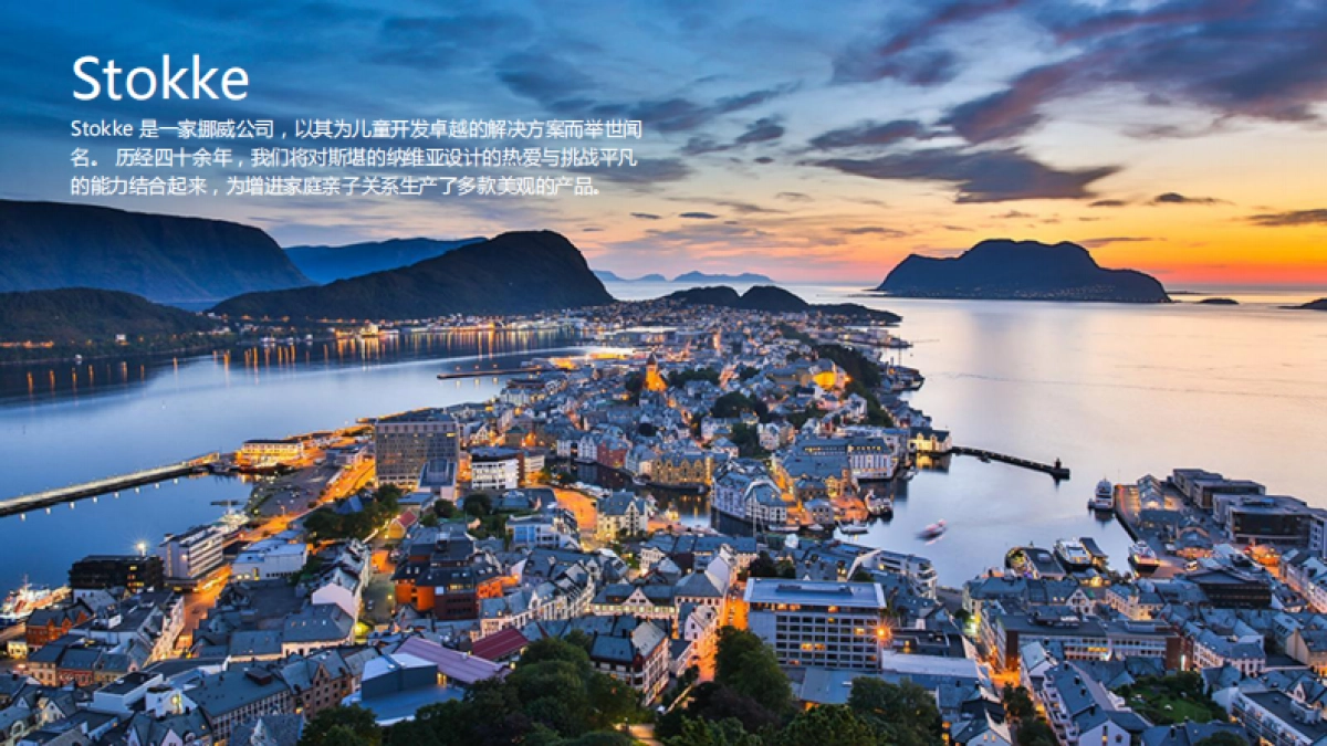 Stokke成长椅产品爆品复盘.pdf_第2页