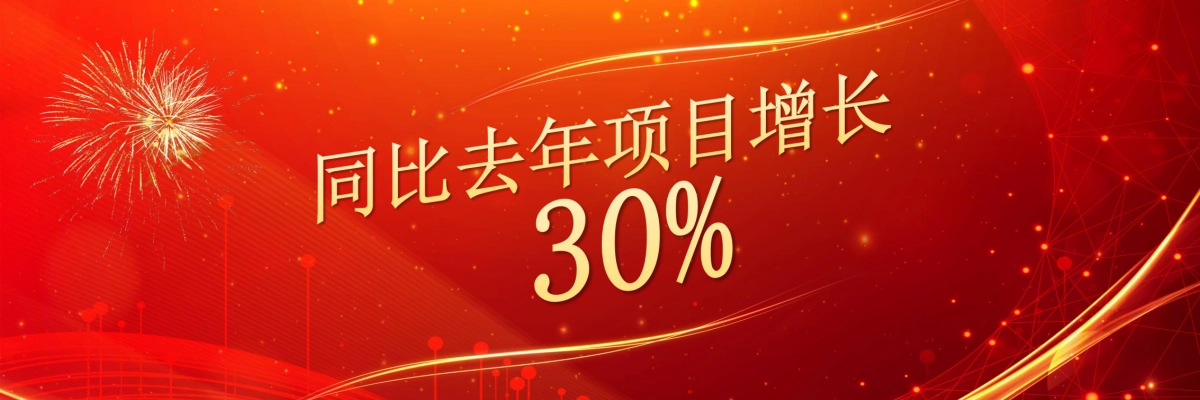 企业年会宽屏PPT模板 (38).pptx_第6页
