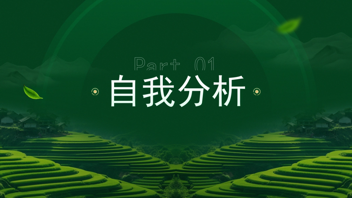 大学生职业生涯规划大赛PPT模板 (10).pptx_第3页