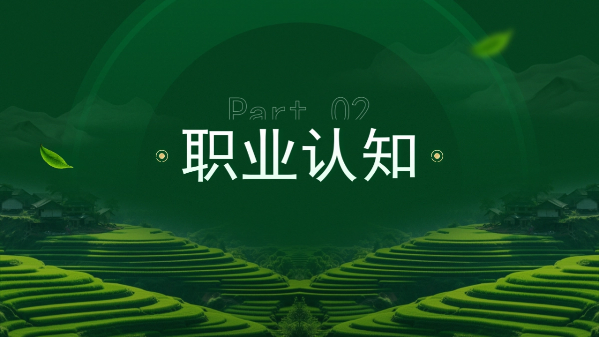 大学生职业生涯规划大赛PPT模板 (10).pptx_第9页