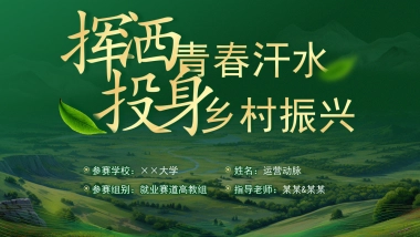 大学生职业生涯规划大赛PPT模板 (10).pptx