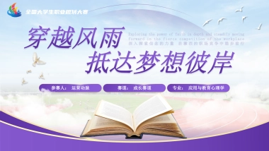 大学生职业生涯规划大赛PPT模板 (13).pptx