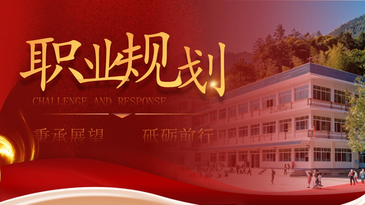 大学生职业生涯规划大赛PPT模板 (16).pptx_第8页