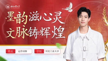 大学生职业生涯规划大赛PPT模板 (17).pptx