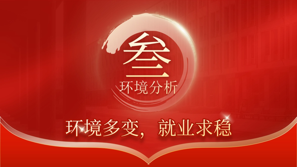 大学生职业生涯规划大赛PPT模板 (18).pptx_第10页