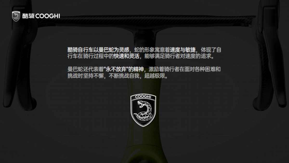 COOGHI酷骑品牌介绍.pdf_第3页