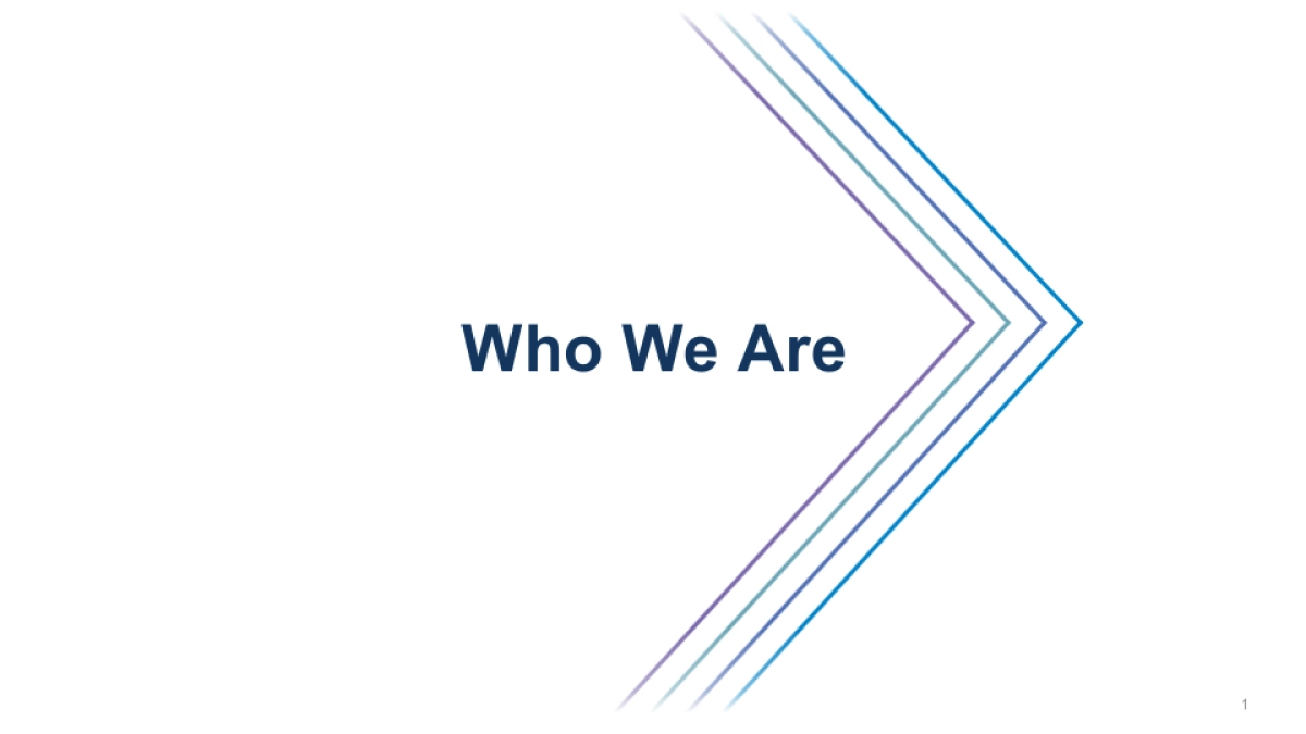 高盛-顶级机构的PPT模板-Part1.pptx_第5页