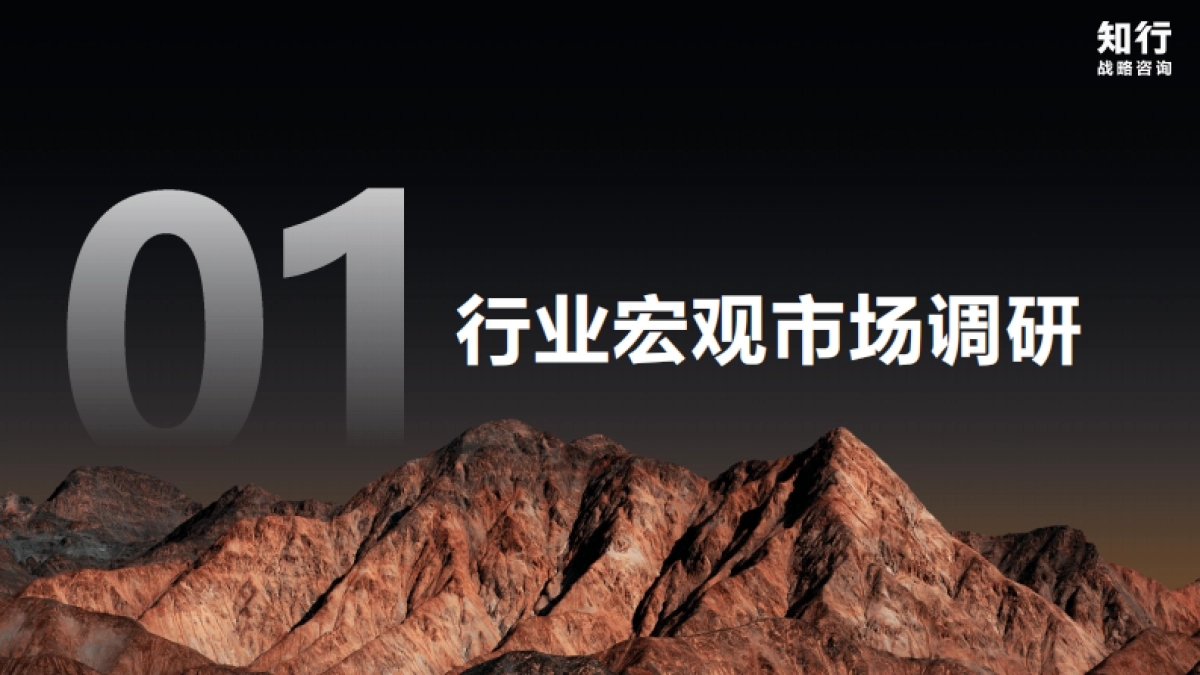 2025年中式糕点类目电商消费趋势-知行咨询.pdf_第2页