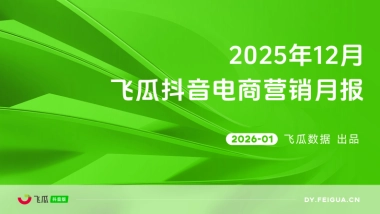 2025年12月飞瓜抖音电商营销月报-飞瓜数据.pdf
