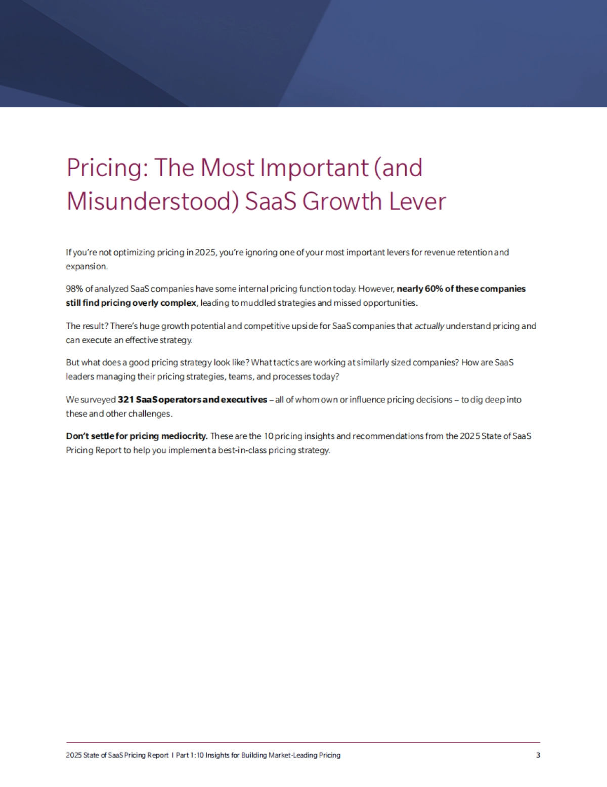 2025年SaaS定价现状报告（英文）.pdf_第3页
