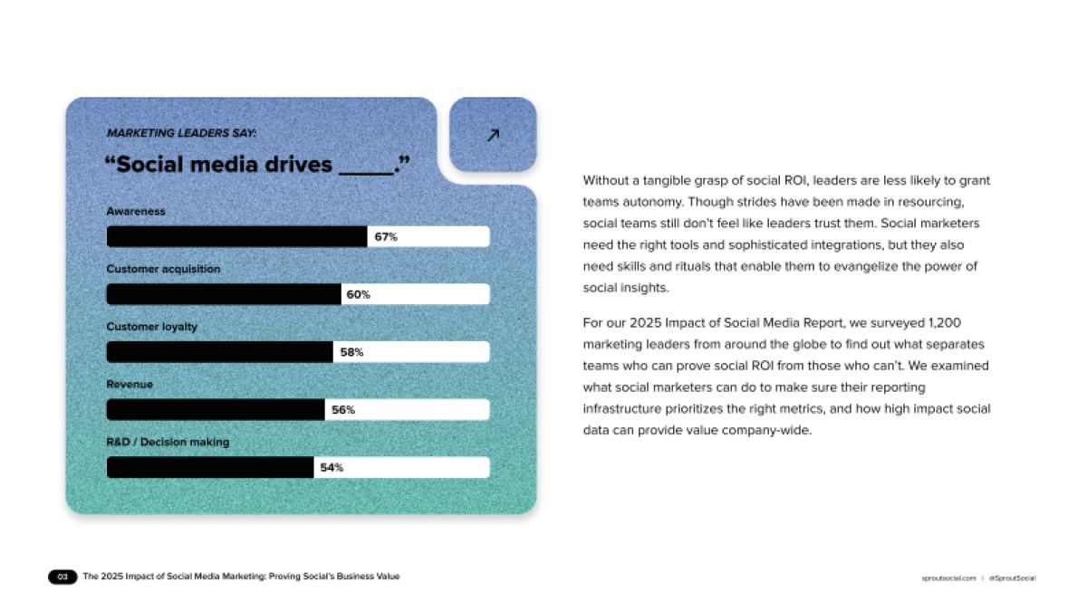 2025年社交媒体营销的影响（英文）.pdf_第3页