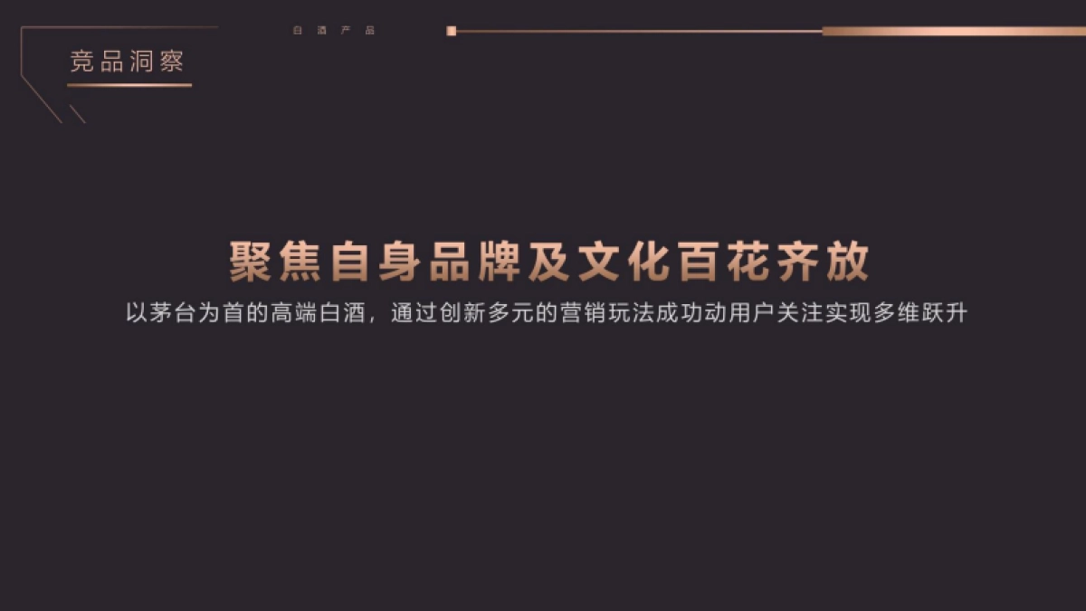 高端白酒产品2025年度活动营销规划案.pdf_第6页