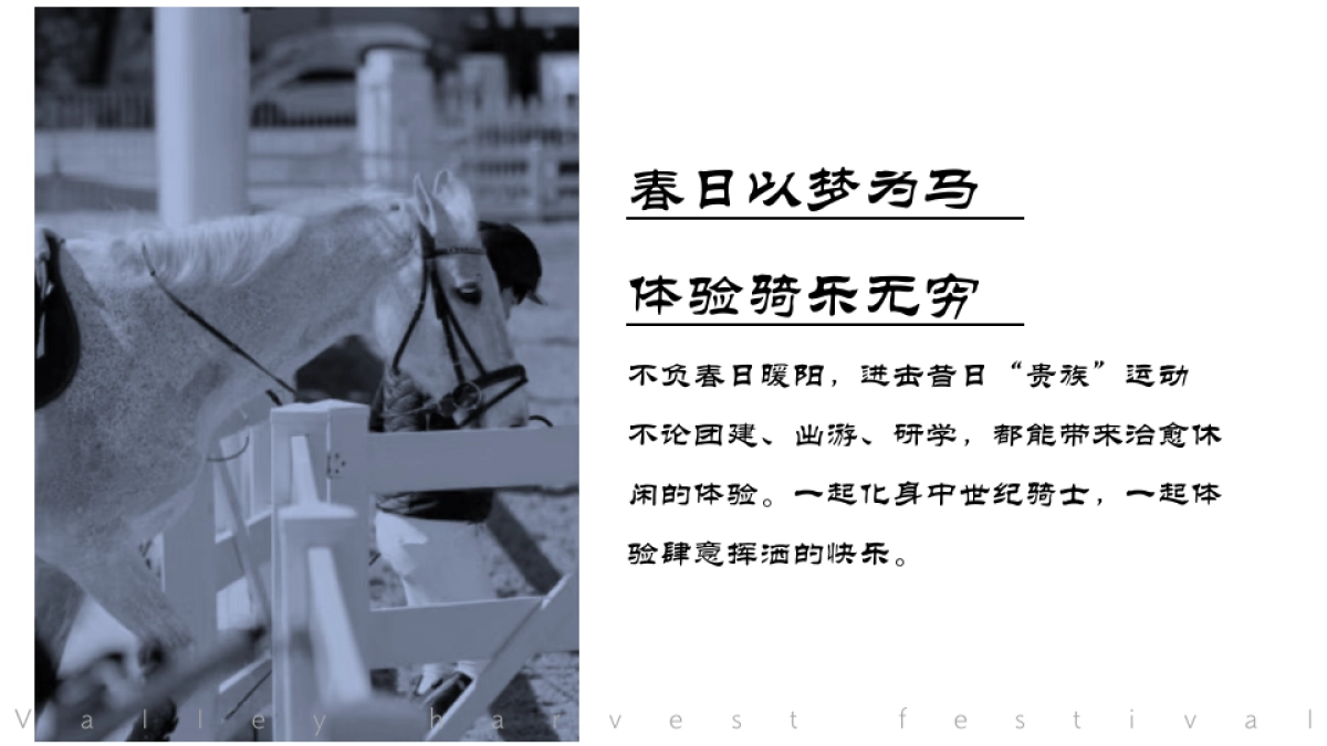 2026春季马术体验团建出游圈层活动方案.pptx_第5页