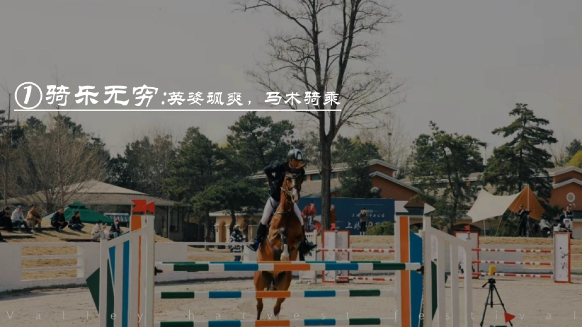 2026春季马术体验团建出游圈层活动方案.pptx_第9页