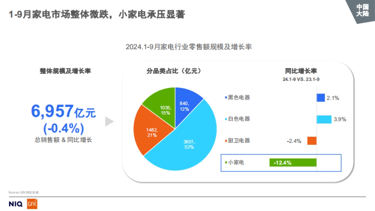 2024全球中国大陆个护美健小家电市场趋势报告-GfK.pdf_第4页