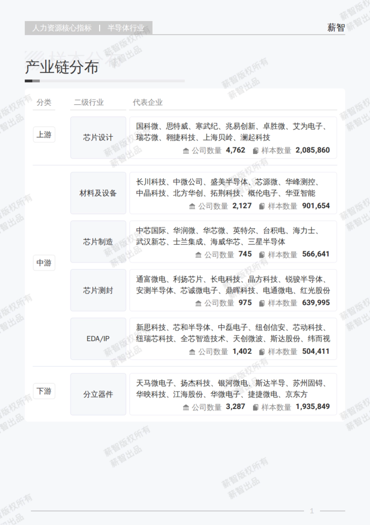 2025年半导体行业白皮书-薪智.pdf_第6页