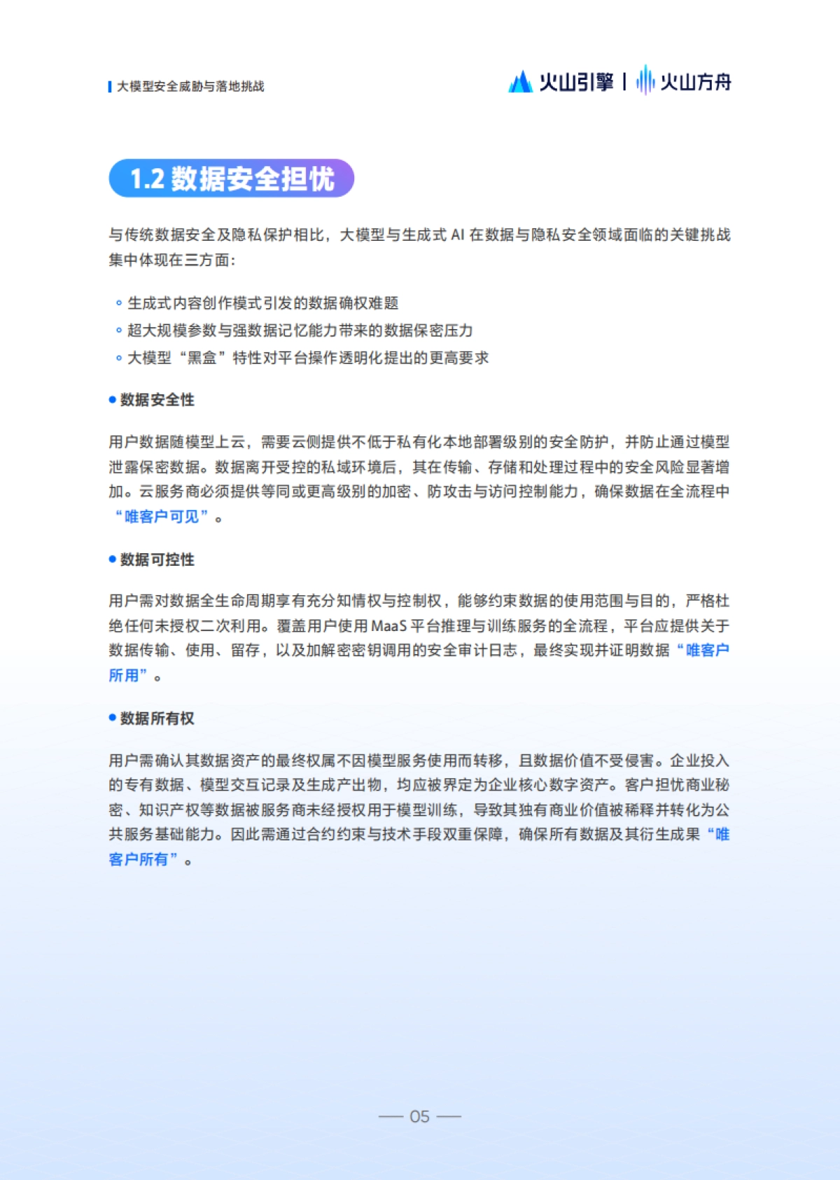 2025年大模型服务安全白皮书-火山方舟.pdf_第9页