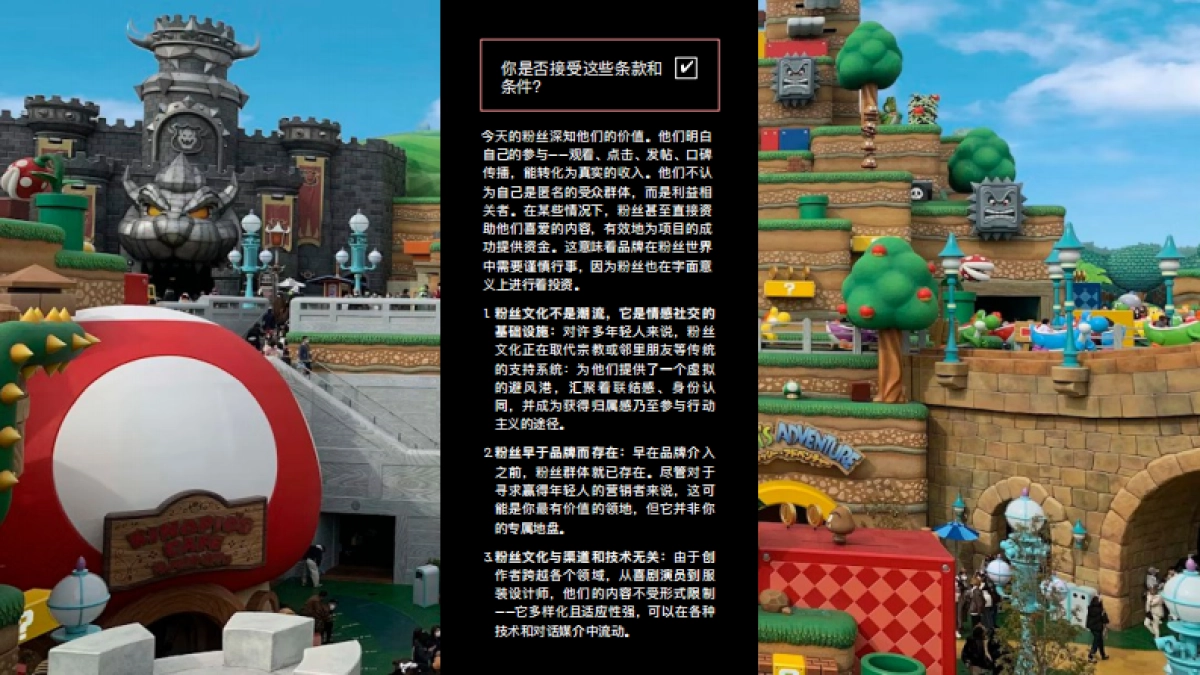 2025年粉丝浪潮-Z世代与Alpha世代的增长密码报告-奥美中国（Ogilvy）.pdf_第8页