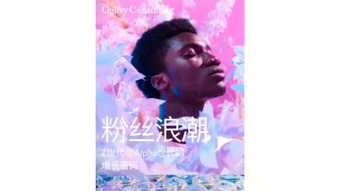 2025年粉丝浪潮-Z世代与Alpha世代的增长密码报告-奥美中国（Ogilvy）.pdf