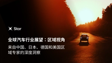 2025年全球汽车行业展望报告：区域视角-Star.pdf