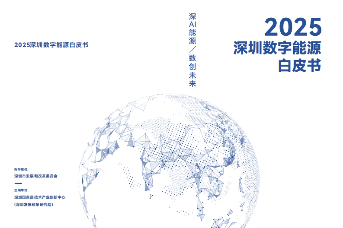2025年深圳数字能源白皮书-深圳市发改委.pdf_第1页
