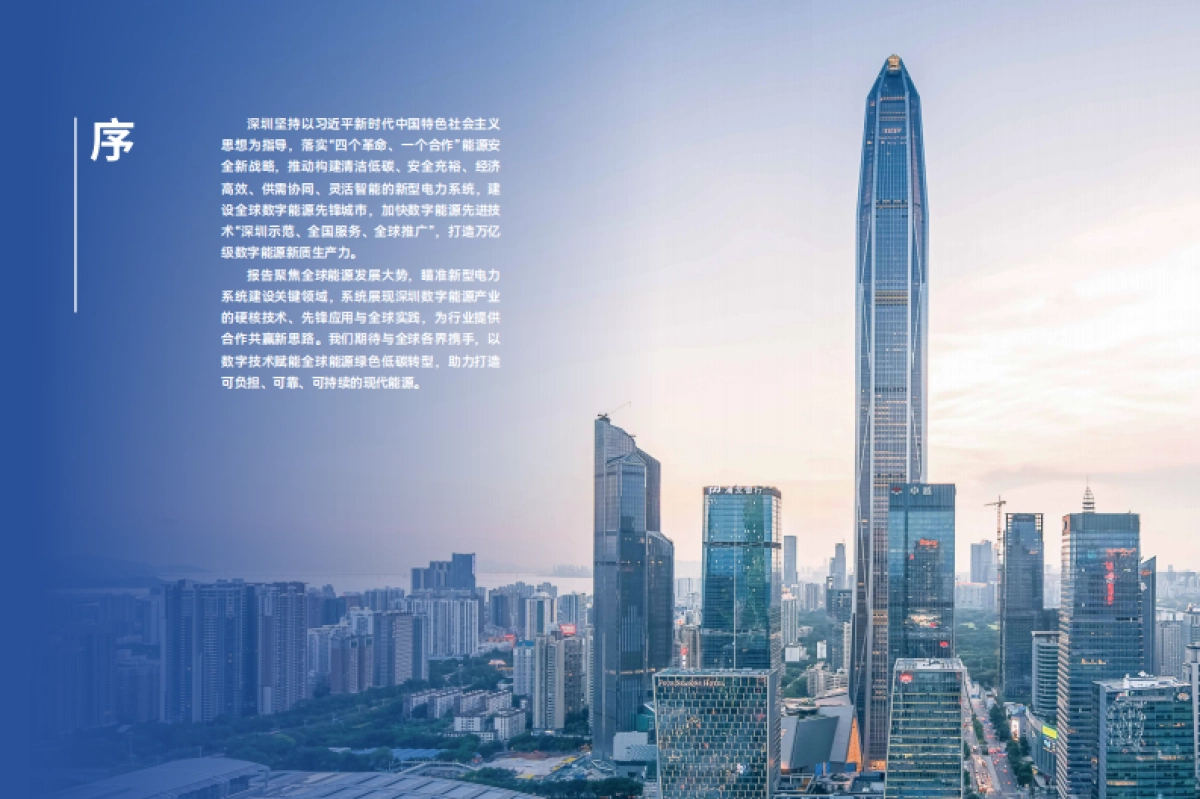 2025年深圳数字能源白皮书-深圳市发改委.pdf_第3页