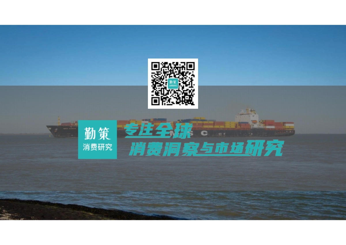 2025年中国跨境电商营销服务行业报告-全托管一站式营销服务兴起-勤策.pdf_第2页