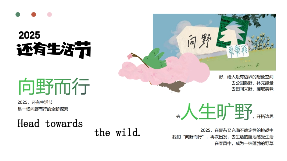 阳春三月新媒体品牌还有生活节新消费潮流节招商方案(不可编辑).pptx_第9页