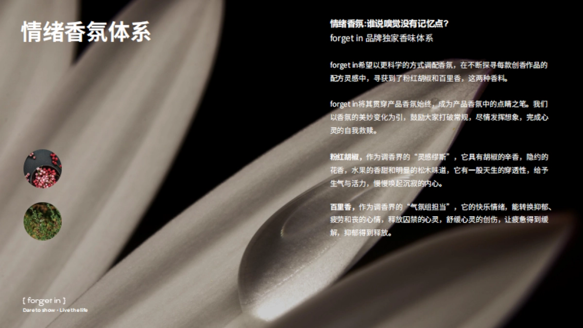 forget+in+品牌手册.pdf_第7页