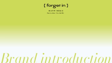 forget+in+品牌手册.pdf