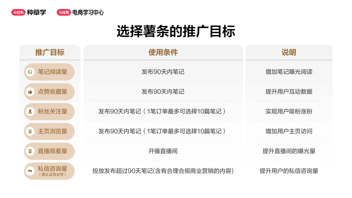 小红书薯条产品使用指南.pptx_第10页