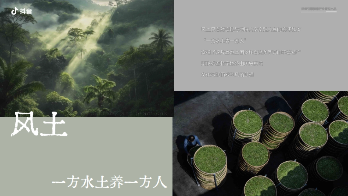 抖音行业IP「源溯之径」招商方案1.pdf_第10页