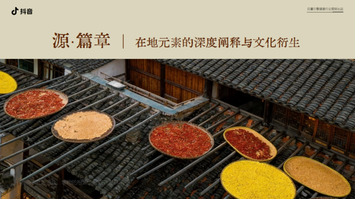 抖音行业IP「源溯之径」招商方案1.pdf_第5页