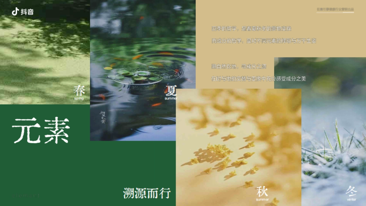 抖音行业IP「源溯之径」招商方案1.pdf_第8页