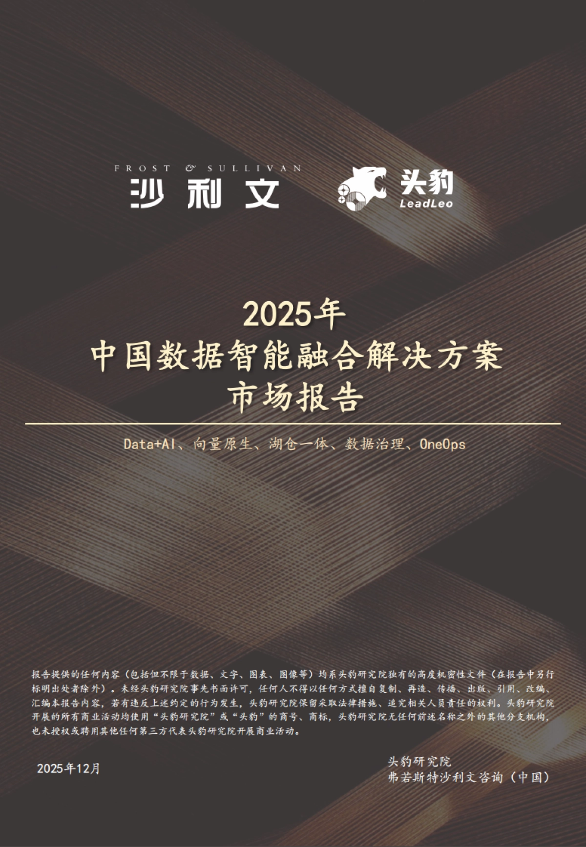 2025年中国数据智能融合解决方案市场报告-沙利文.pdf_第1页