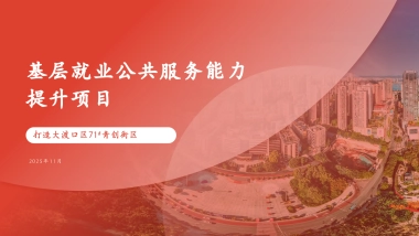 2026基层就业公共服务能力提升项目.pptx
