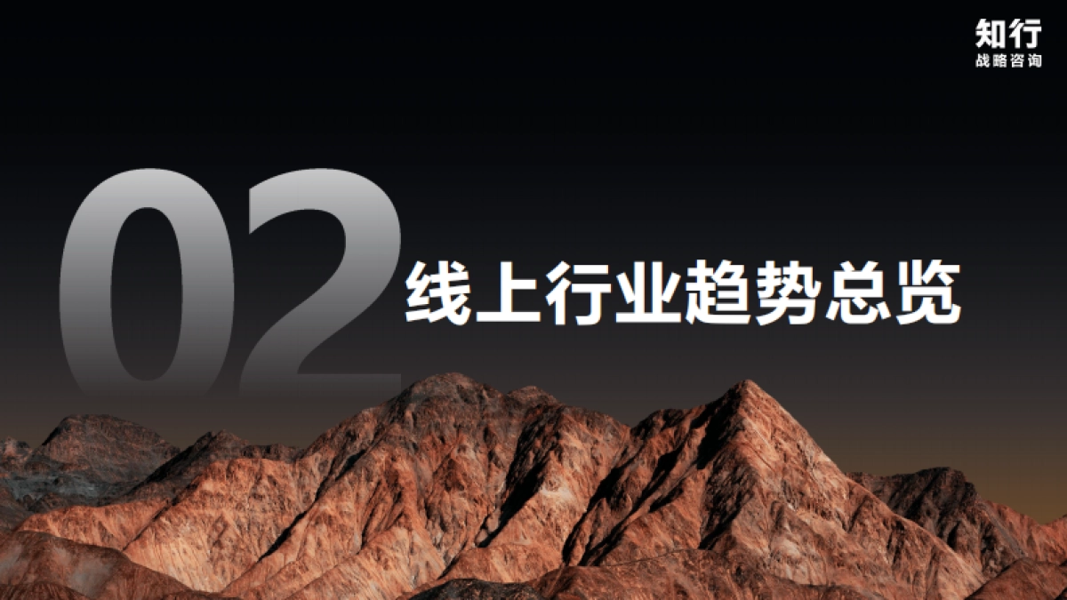 2025年婴童营养品品类数据观察报告-知行战略咨询.pdf_第9页