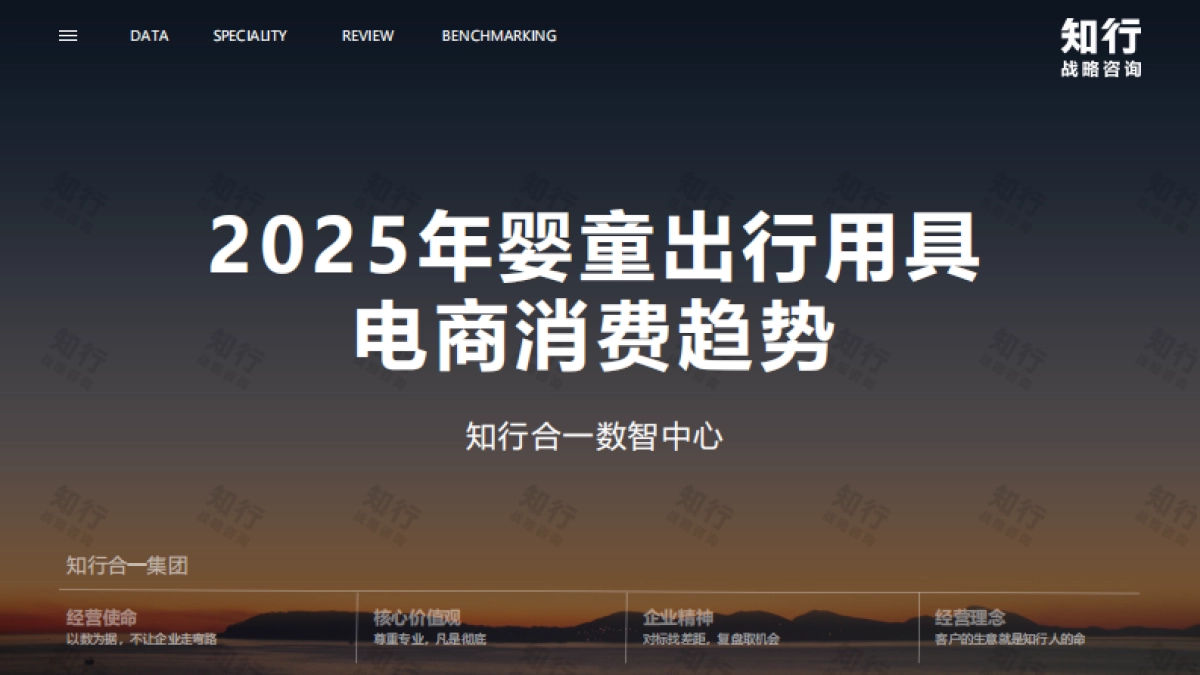 2025年婴童出行用具电商消费趋势报告-知行战略咨询.pdf_第2页