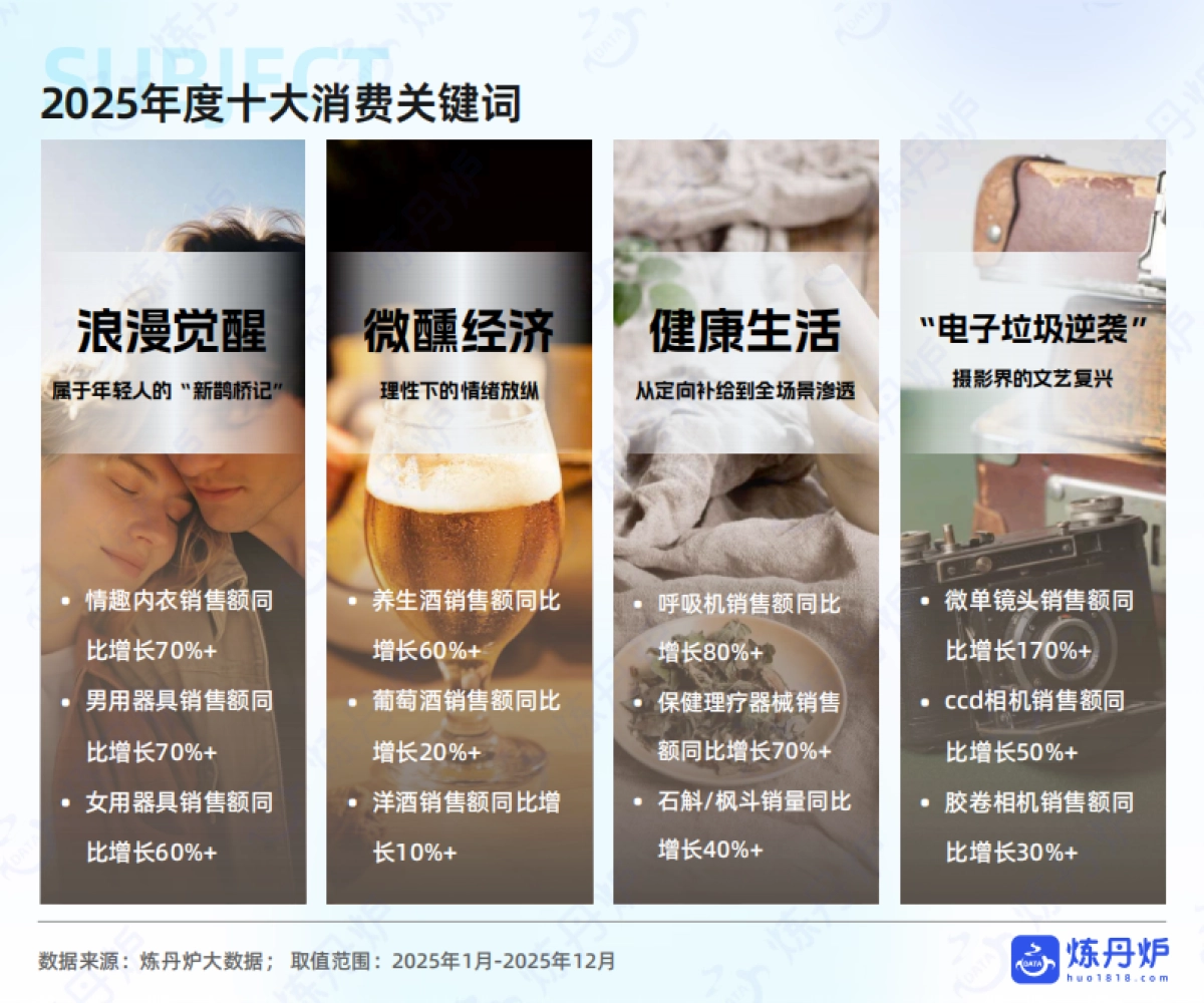 2026年线上消费市场机遇洞察报告-炼丹炉.pdf_第10页