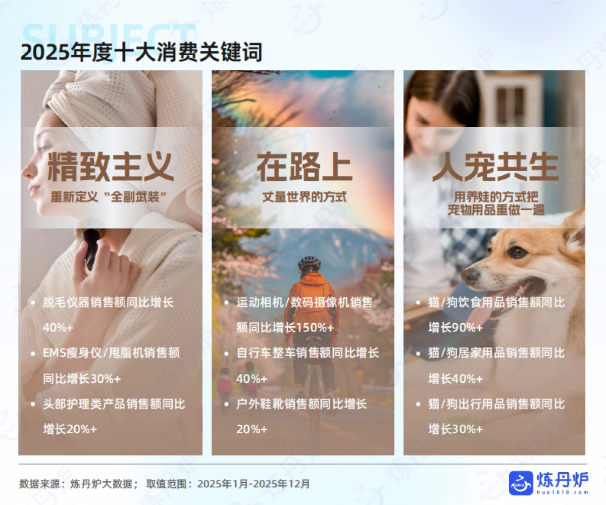 2026年线上消费市场机遇洞察报告-炼丹炉.pdf_第8页