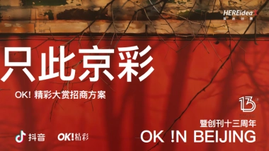 抖音「只此京彩」OK! 精彩大赏招商方案.pdf